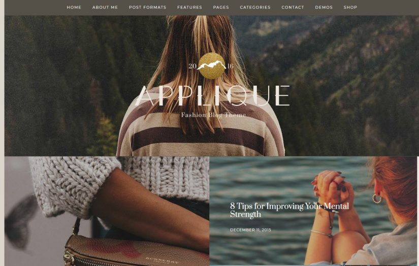 Applique WordPress Tema Blog em 2018