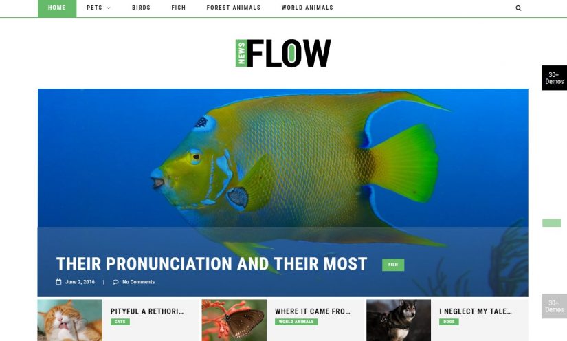 Tema do blog FlowNews para 2018 WordPress