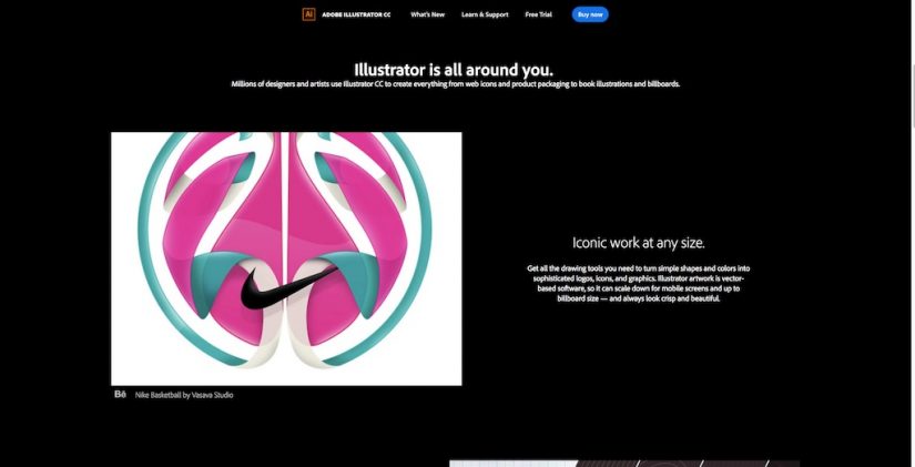 Acquista Adobe Illustrator CC Vector software di progettazione graficaSTM