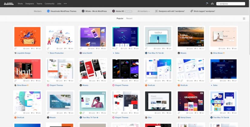 Cerca disegni su DribbbleSTM