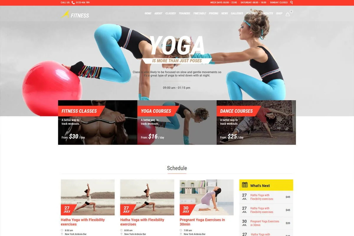 Gym 是一个富有创意的现代健身 WordPress 主题