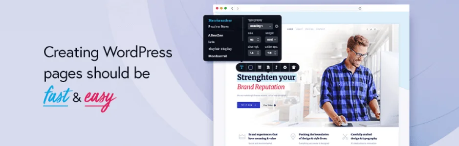 Brizy 页面生成器