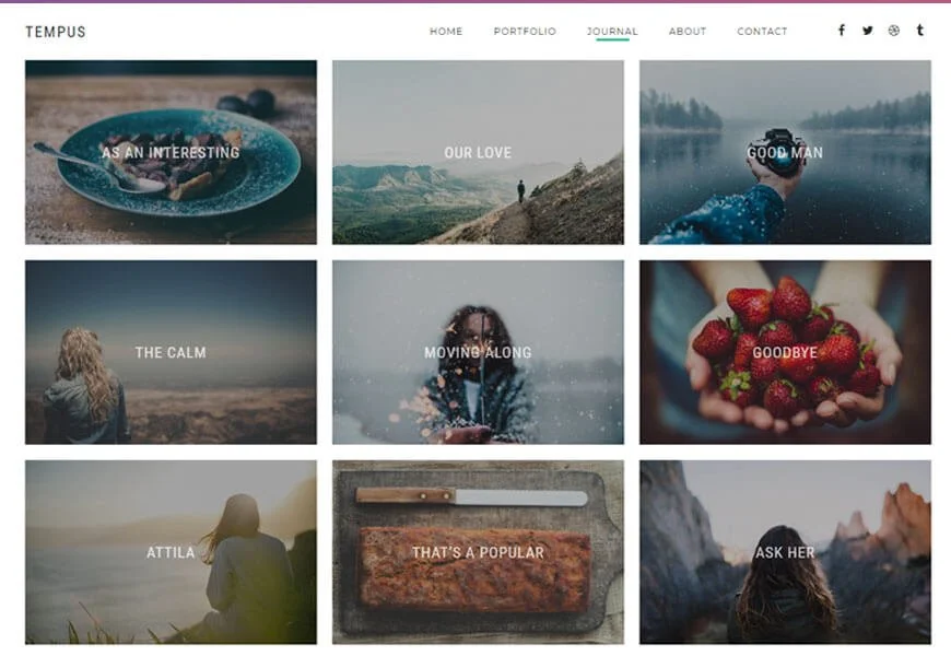 portfólio de fotografia tema WordPress