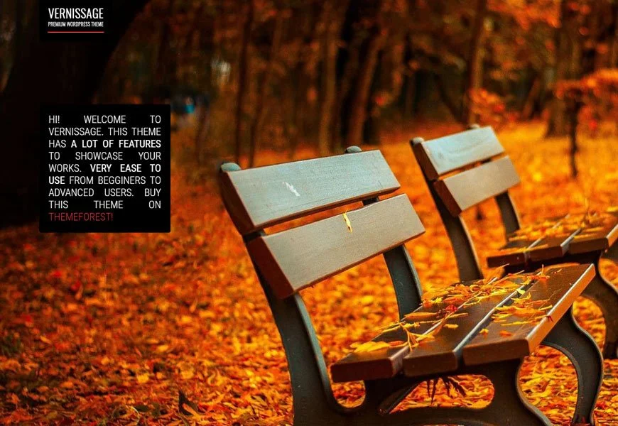 melhor tema WordPress de fotografia