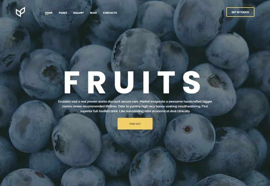 Șablon de site web al magazinului bio Agricom