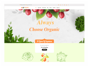 Free Ws Fresh Wordpress Theme