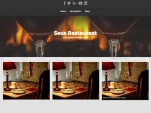 Free Seos Restaurant Wordpress Theme