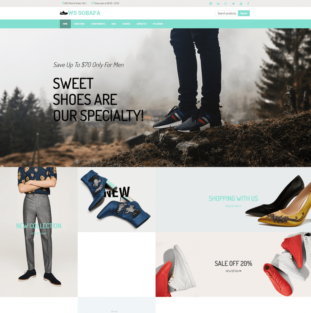 Wordpress Fashion Themes