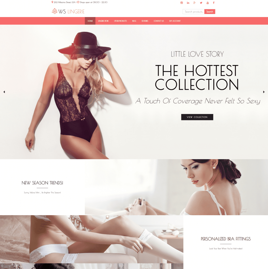 Fashion Wordpress Themes 10