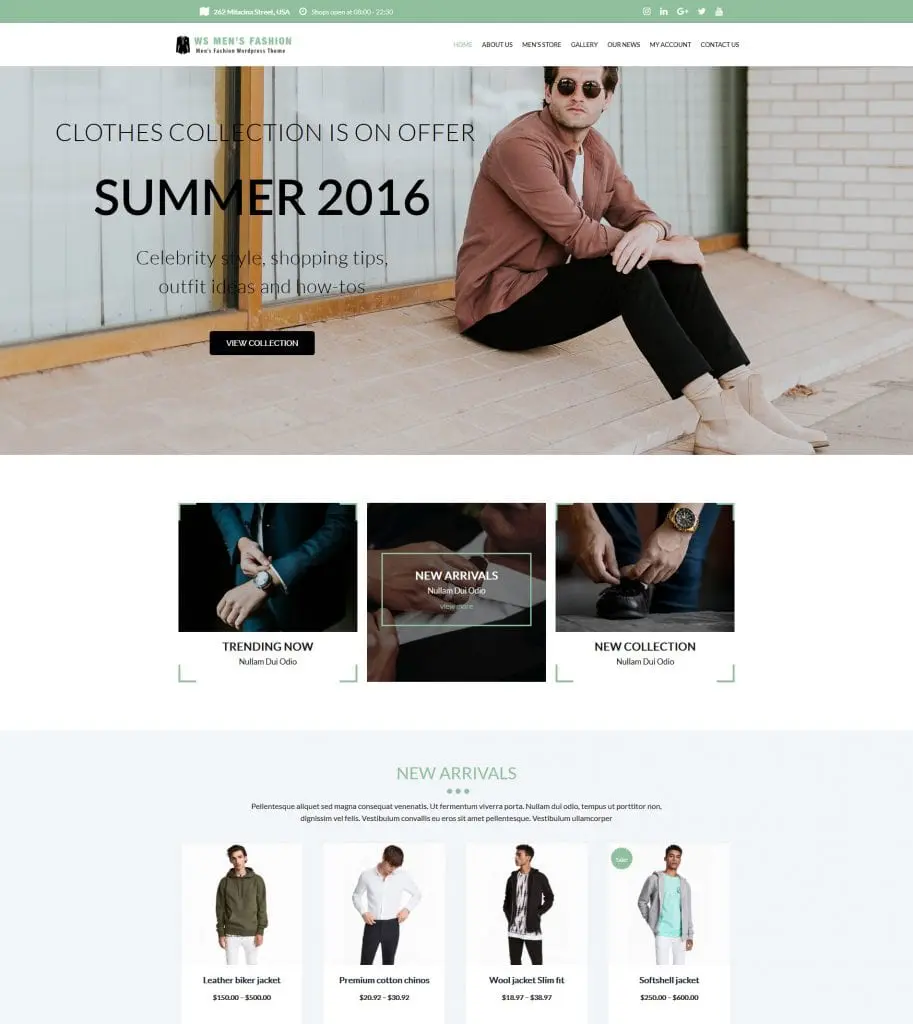 Fashion Wordpress Themes 6