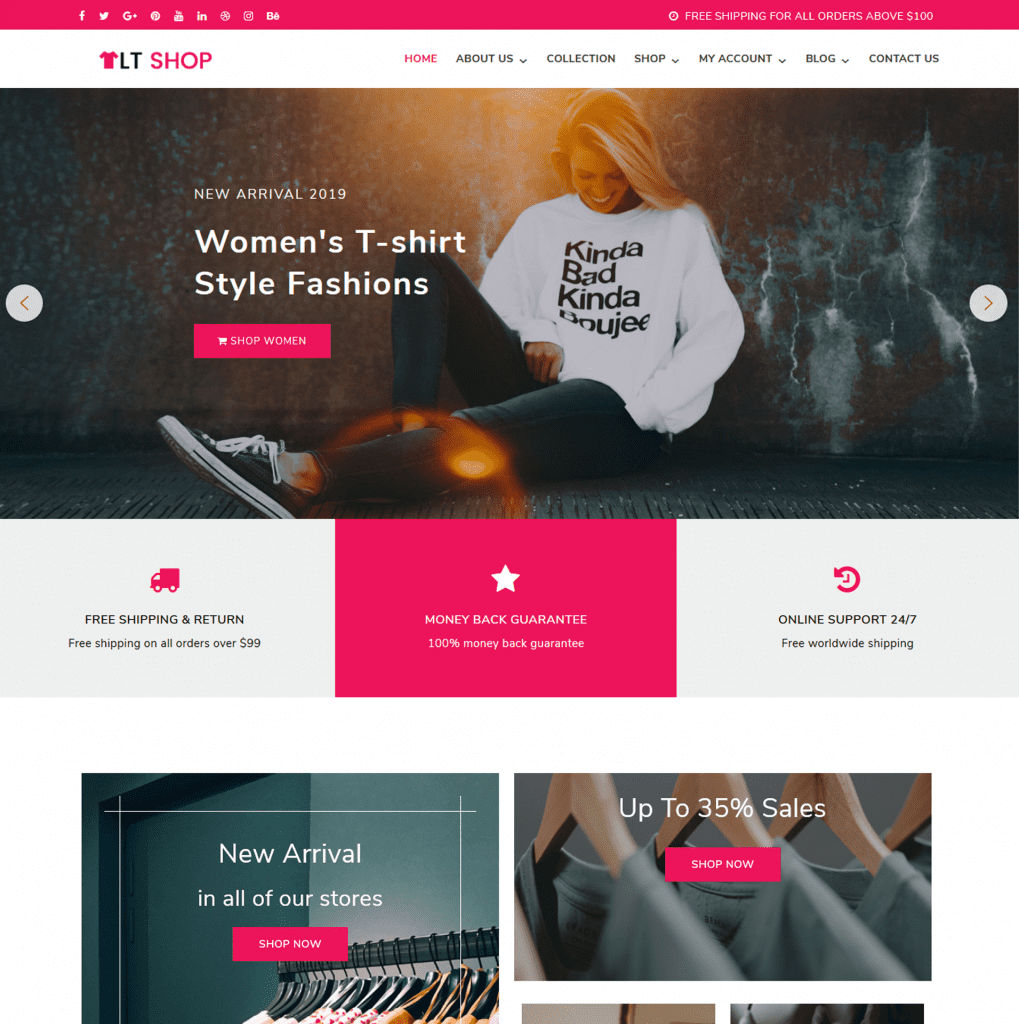 Wordpress Fashion Themes