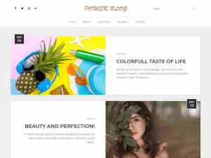 Free Power Blog Wordpress Theme