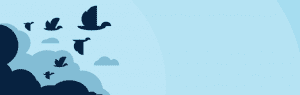 Wp Migrate Db – Wordpress Plugin Wordpress Org