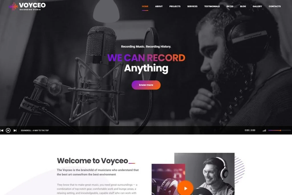 Voyceo - templat situs web musisi