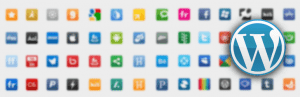 Wordpress Social Login Plugin 8