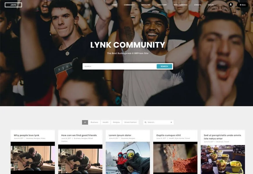 Lynk adalah salah satu tema WordPress jejaring sosial terbaik