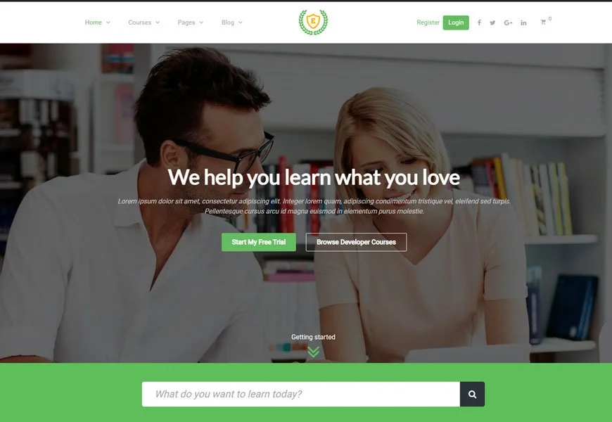 Epsilon - tema WordPress lms