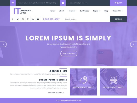 It Company Lite