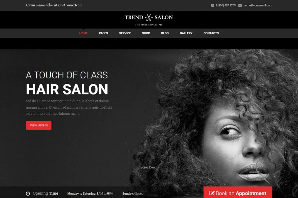 Trend Salon - plantilla de sitio web de salón