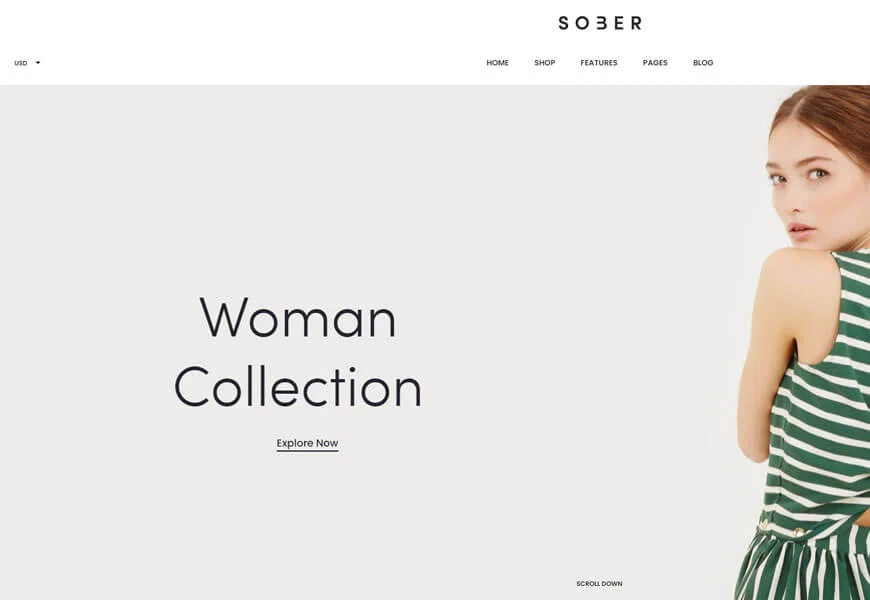 sobrio es un tema premium de woocommerce