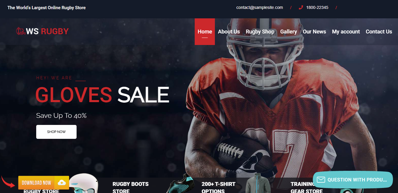 Free Wordpress Themes With Demo Content 6