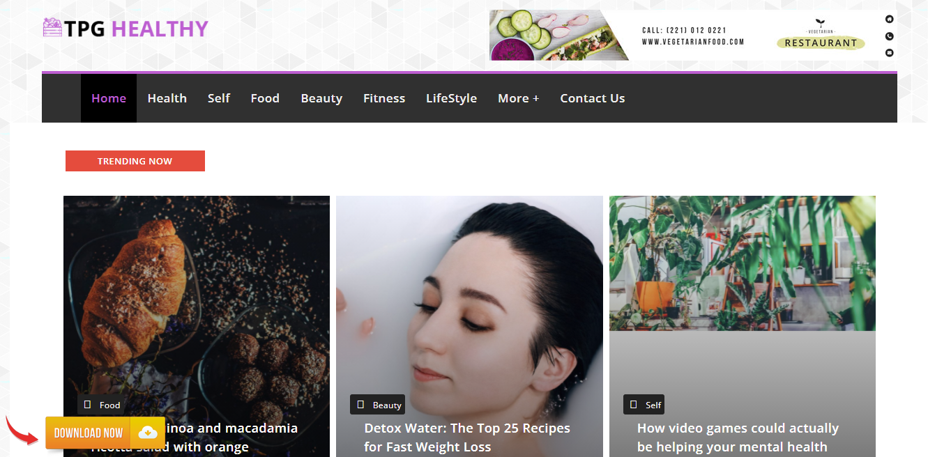 Free Wordpress Themes With Demo Content 7