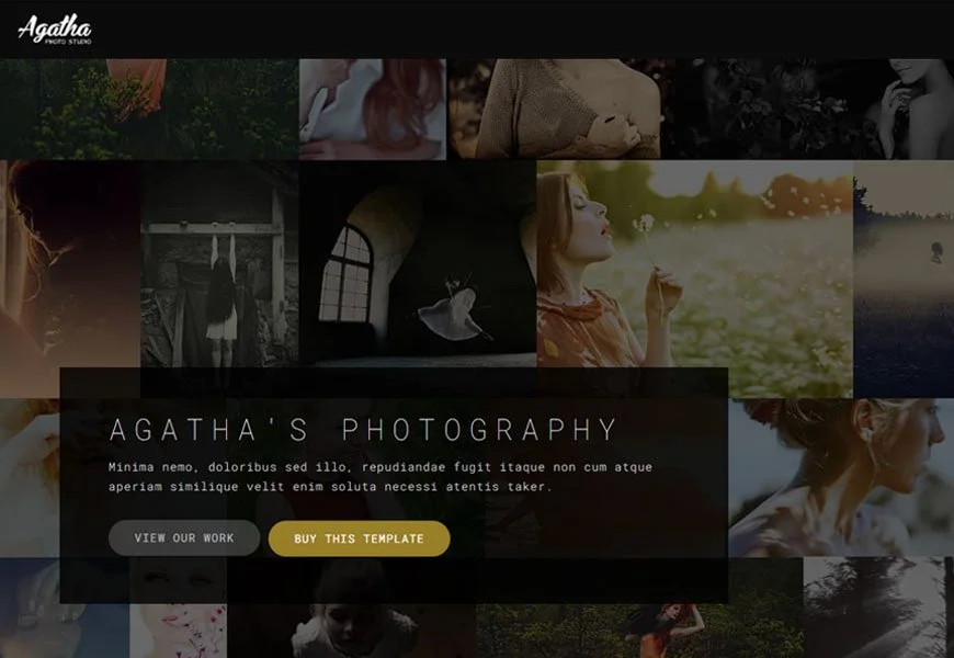 Agatha - templat situs web fotografi terbaik