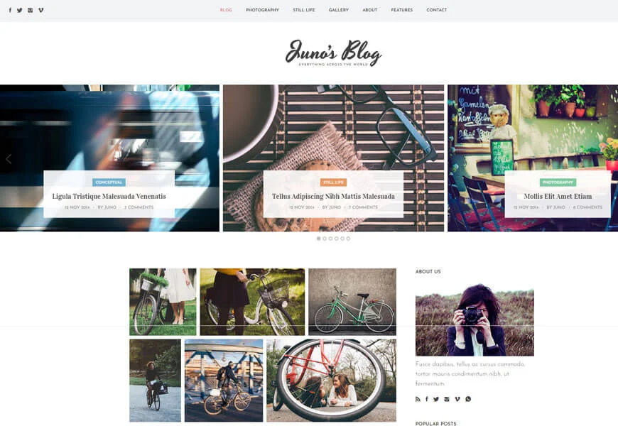 templat situs web terbaik untuk situs web fotografi