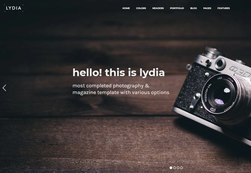 templat situs web fotografi pernikahan