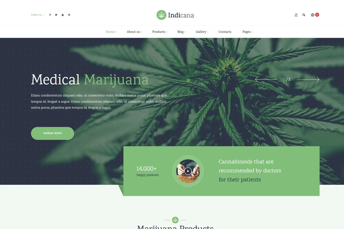 health meducal wordpress themes