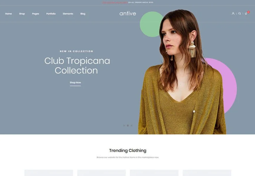tema anti woocommerce