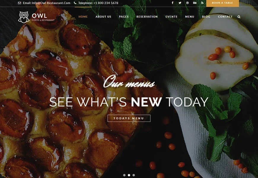 Owl - templat situs web restoran cepat saji