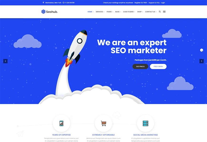 SEOhub