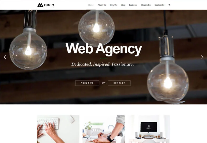 Minim este o altă temă WordPress frumoasă și minimalistă