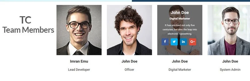plugins de membros da equipe WordPress