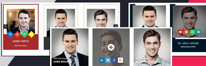 plug-in de membro da equipe