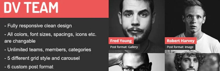 WordPress team member plugin