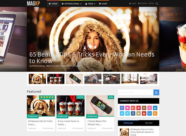 tema wordpress yang dioptimalkan adsense