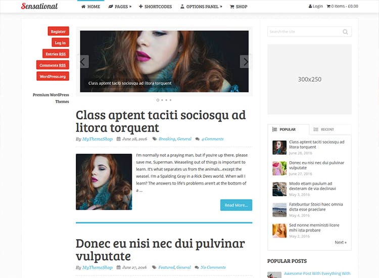 tema wordpress yang dioptimalkan adsense
