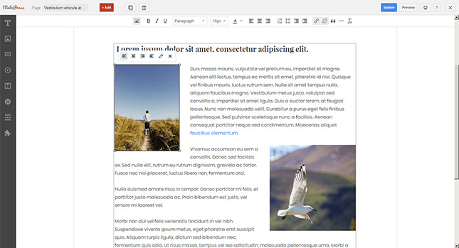 wordpress 頁面構建器