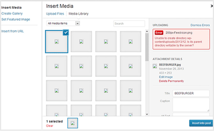 insert-media