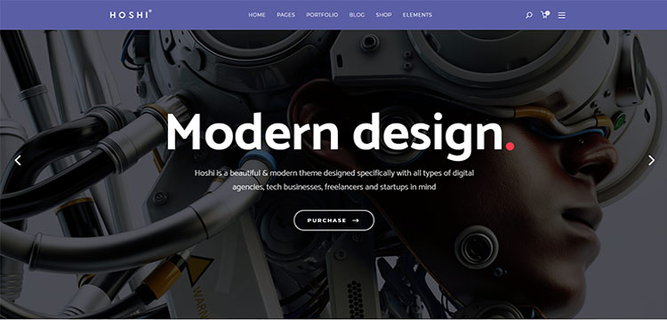 Hoshi - Tema para Agencias Digitales y Freelancers