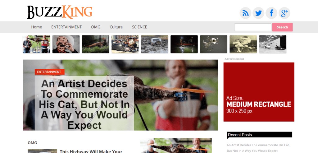 Buzzfeed WordPress 克隆主題