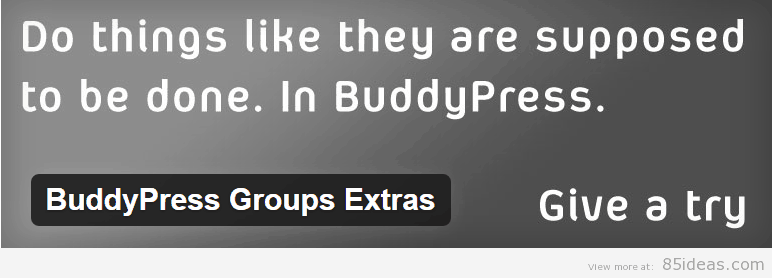 BuddyPress Groups Extras 插件