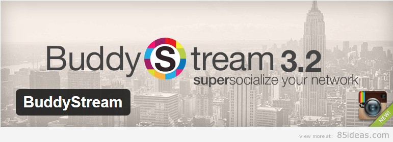BuddyStream 插件