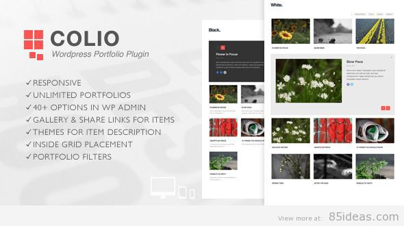Плагин Colio Portfolio для WordPress