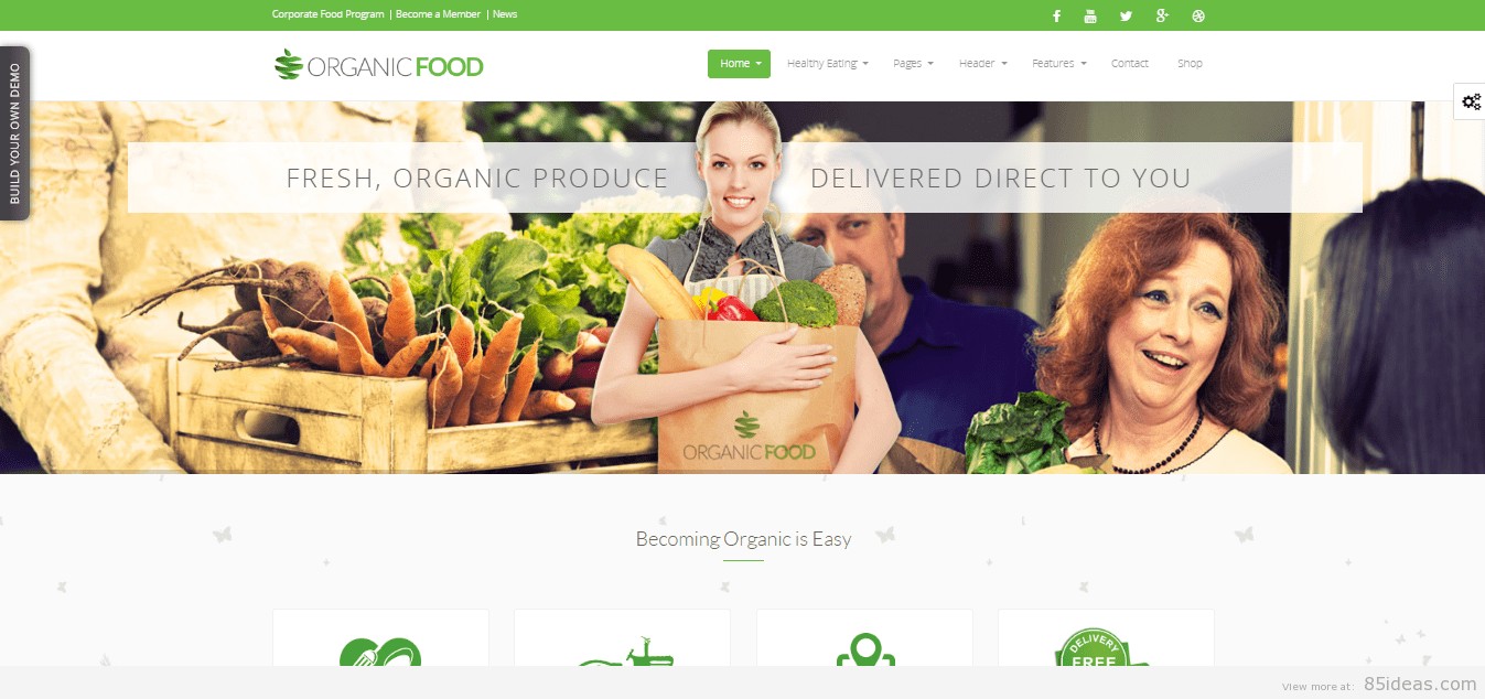 ธีม WordPress Oganicfood