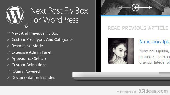 Post successivo Fly Box per WordPress