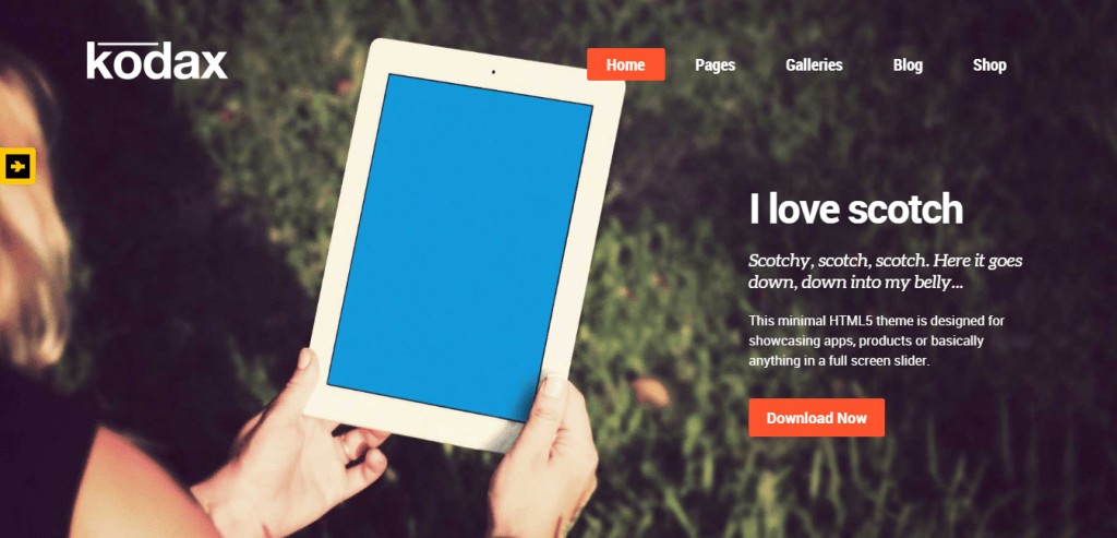 موضوع kodax WordPress