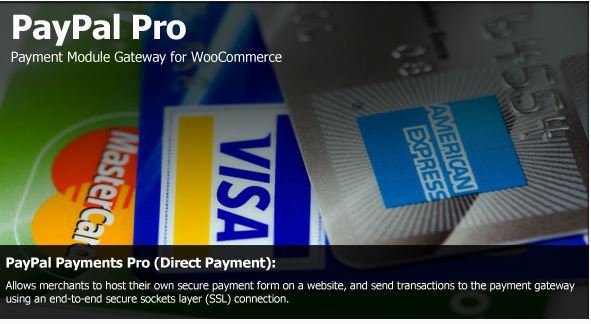5-paypalpro